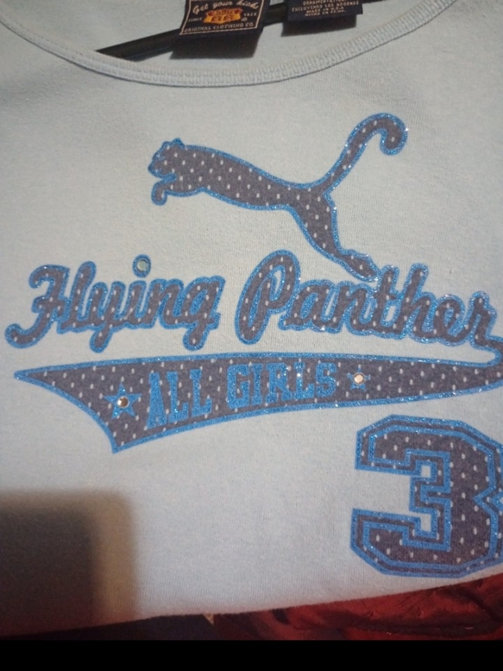 Light Blue 'Flying Panther' Graphic Tee with Blue Accents